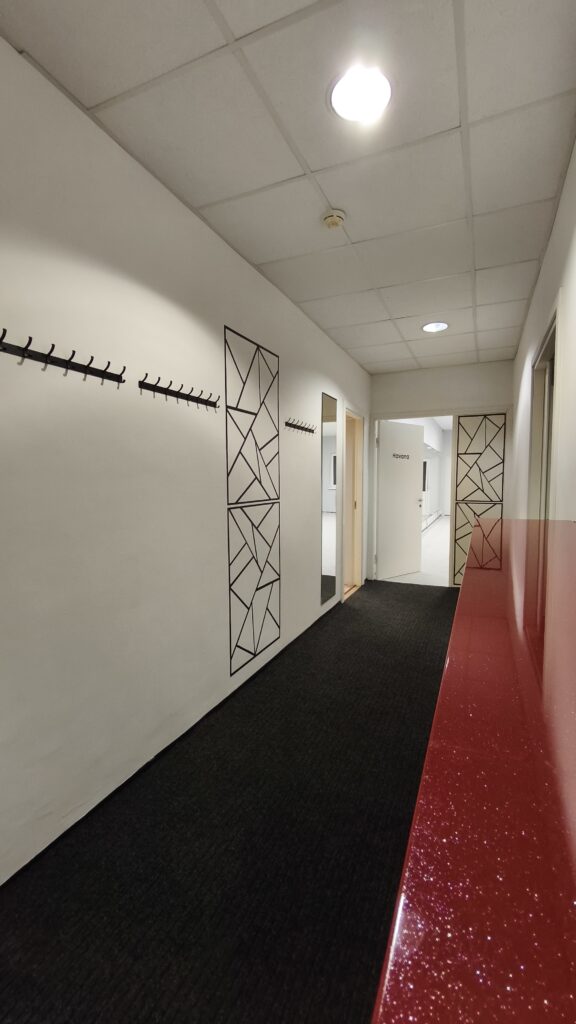 Clean and modern hallway with geometric wall designs, coat hooks, a mirror, and carpet flooring leading to a studio rooms  — ideal  welcoming space 