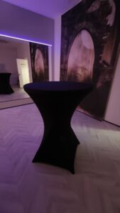 Trinidad room in Muevete studio in party, video mode. 