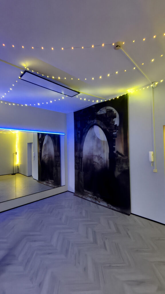 Trinidad room in Muevete Studio, full led and party mode ON